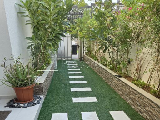 Single Row | Newly Upgraded | Prime Location - 11