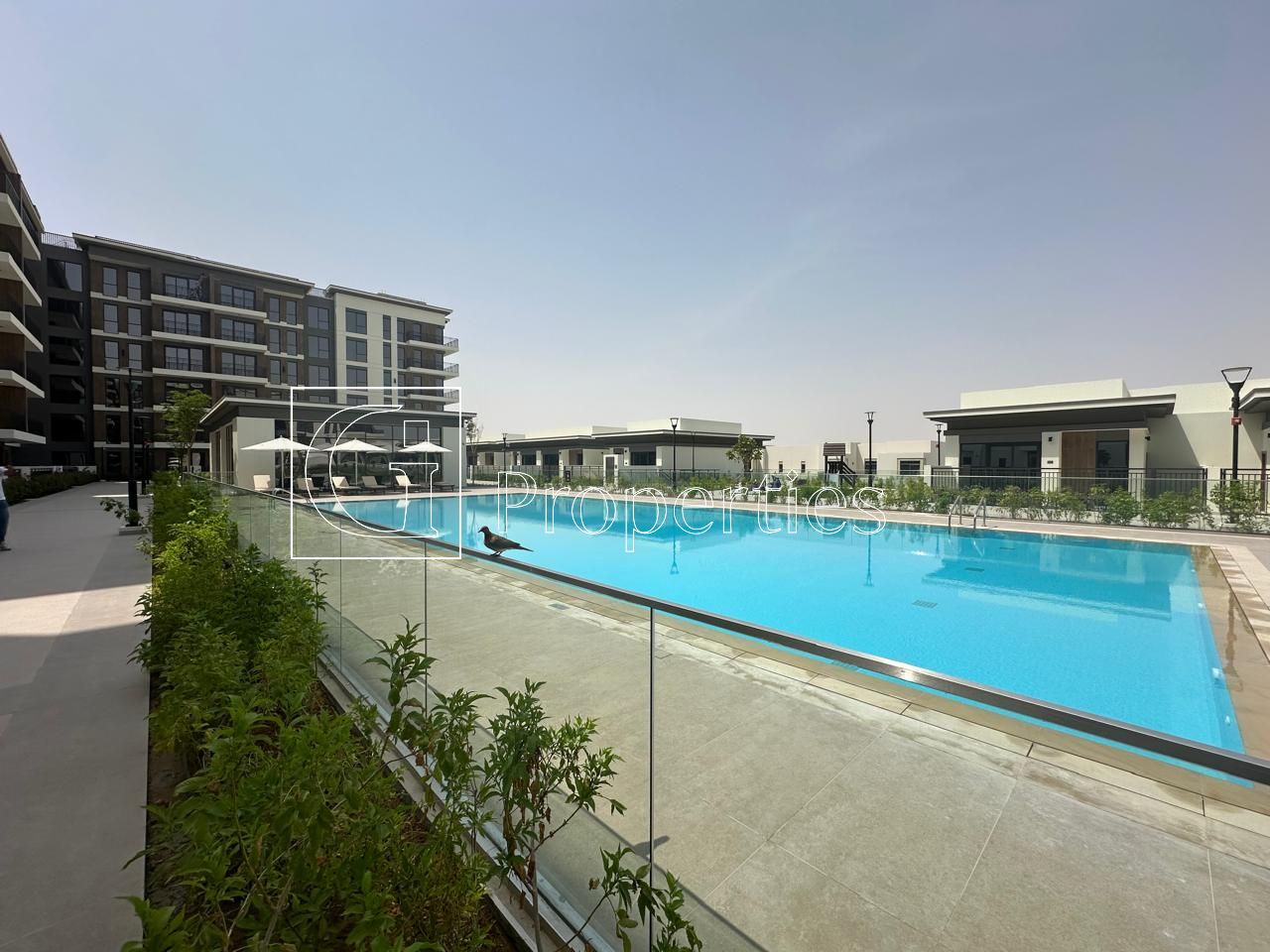 Brand New | Unfurnished | Spacious - 12