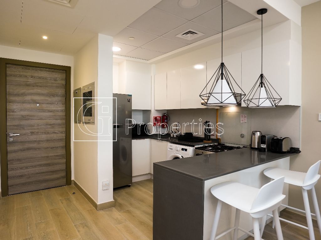 Fully Furnished | Hot Deal | Amazing view - 8